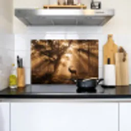Hert - Bos - Mistig - Natuur - Goud Inductie beschemer met haakjes klein -sfeer2