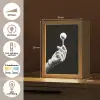 Golfbal - Zwart - Wit Light Box met kabel (Tafellamp) klein -USP_NL