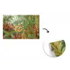 Design - Natuur - Paddenstoelen - Ernst Haeckel fotobehang vinyl groot -3d