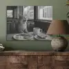 Kat - Koffie - Brood - Zwart PET vilt klein -sfeer2