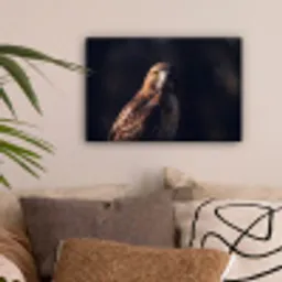 Roofvogel - Buizerd - Bruin canvas 2cm klein -sfeer1