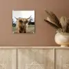 Schotse Hooglander -  Koe - Gras - Dieren - Natuur plexiglas 5mm klein -sfeer5
