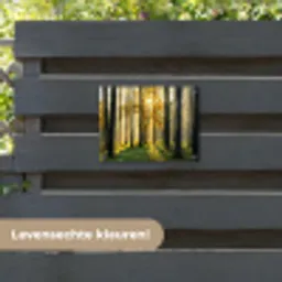 Gouden bos bij zonsopgang tuinposter los doek klein -sfeer3