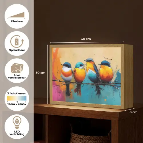 Vogels - Kleurrijk - Tak - Abstract Light Box met batterij (Wandlamp) middel -USP_websiteoverzichtNL