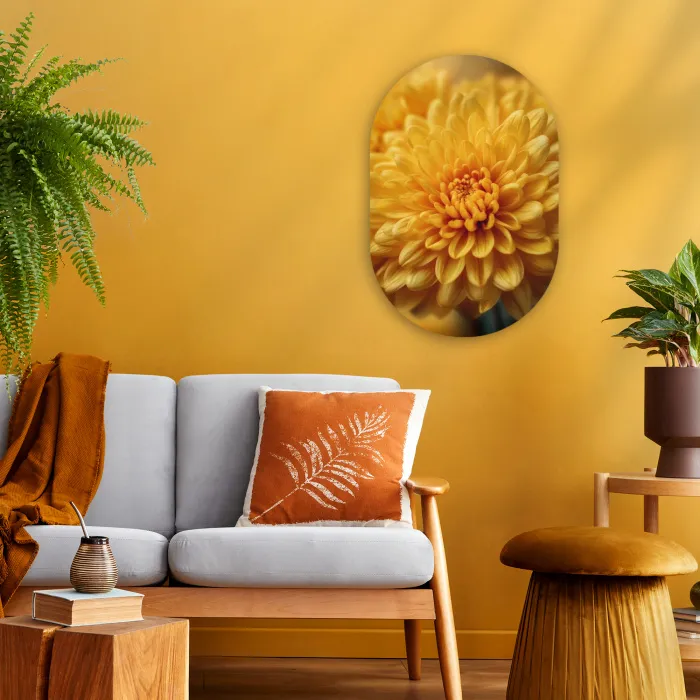 Geel - Chrysant - Zachtheid Wandcirkel Ovaal Forex klein -sfeer4