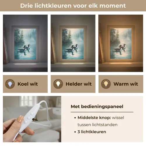 Bos - Water - Eenden - Mistig Light Box met kabel (Tafellamp) klein -USP_lichtkleurNL