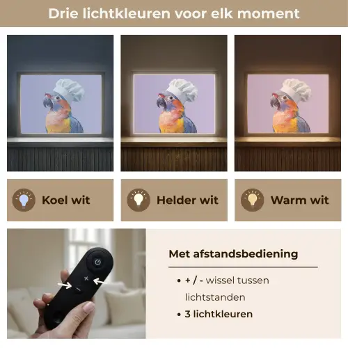 Papegaai - Koksmuts - Paars - Cute Light Box met batterij (Wandlamp) middel -USP_lichtkleurNL