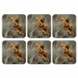 Zonnehoed - Droogbloemen - Geel - Warm onderzetter kurk middel -3d