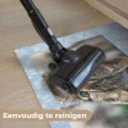 Pootjes - Achtergrond Deurmat klein -reinigen_NL