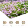 Lavendel - Bloemen - Zonsondergang - Paars - Weide poster papier klein -closeup_NL