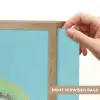 Kiwi - Blauw - Surrealistisch Light Box met batterij (Wandlamp) middel -USP_websiteprintNL