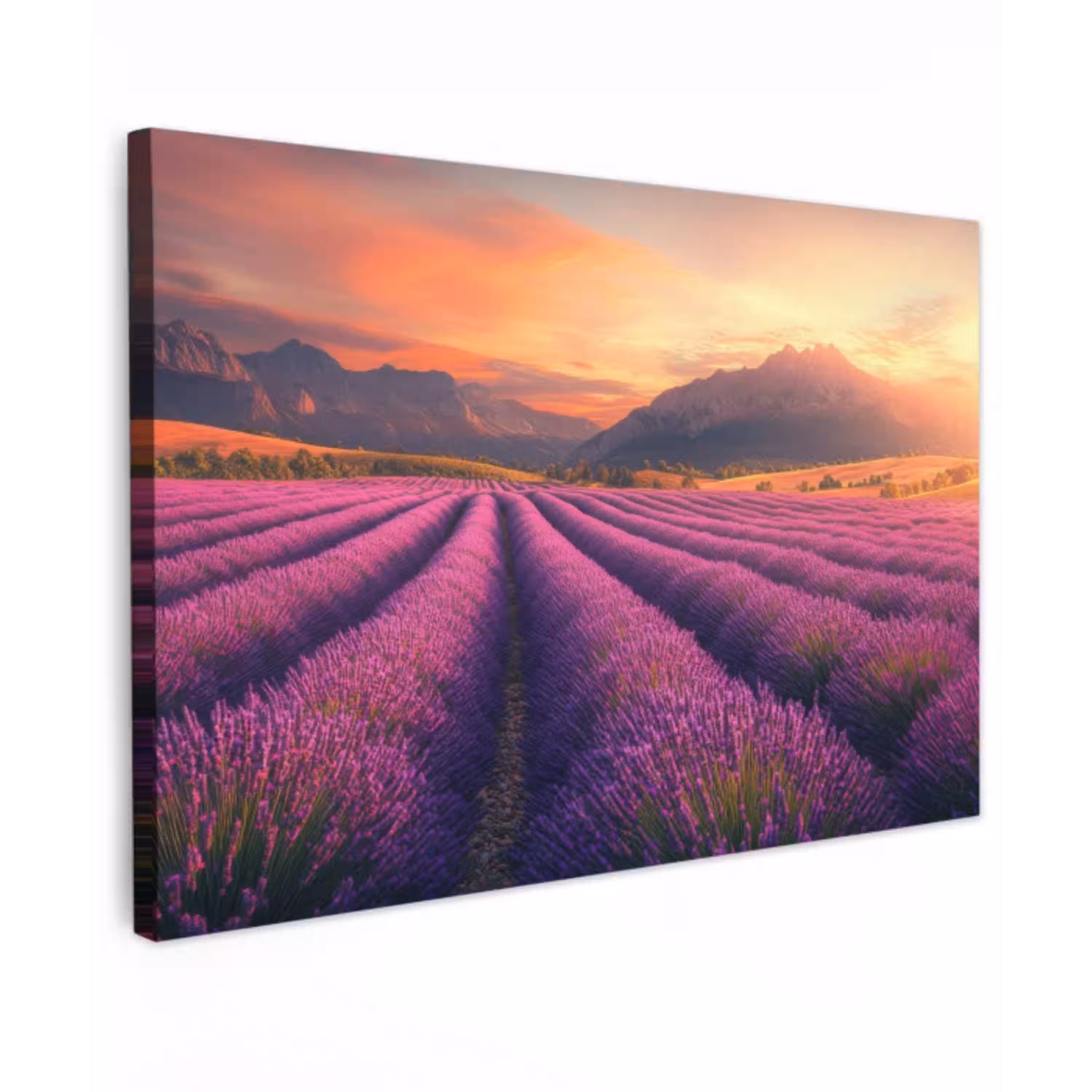 Lavendelveld - Zonsondergang - Paars canvas 2cm klein -z3d