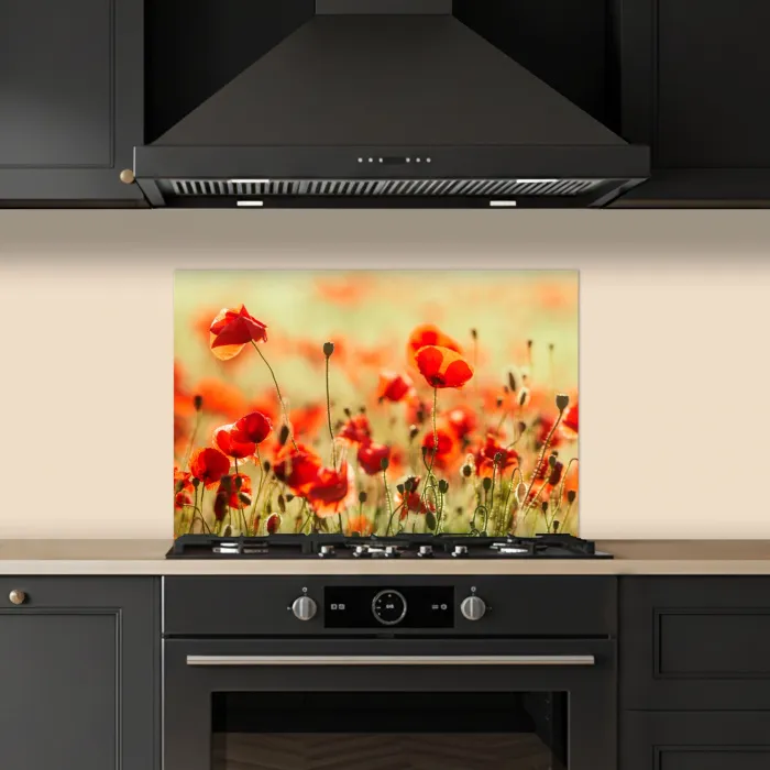 Klaprozen - Bloemen - Rood - Bloemenveld keuken achterwand spatscherm klein -sfeer1
