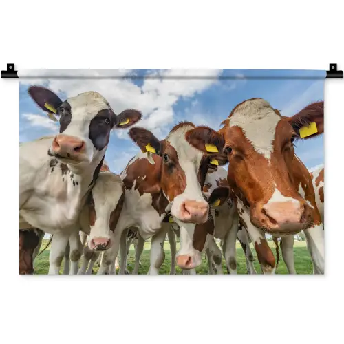 Koeien - Dieren - Weiland - Natuur Wandkleed katoen klein -zz3d