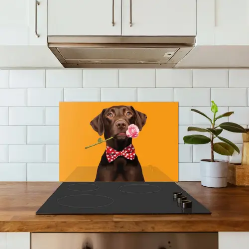 Hond - Oranje - Roos - Valentijn keuken achterwand spatscherm klein -sfeer2