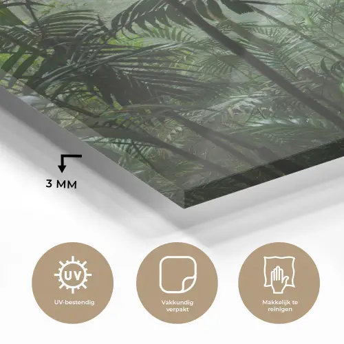 Regenwoud - Tropisch - Jungle - Bomen - Planten plexiglas 5mm klein -sfeer2