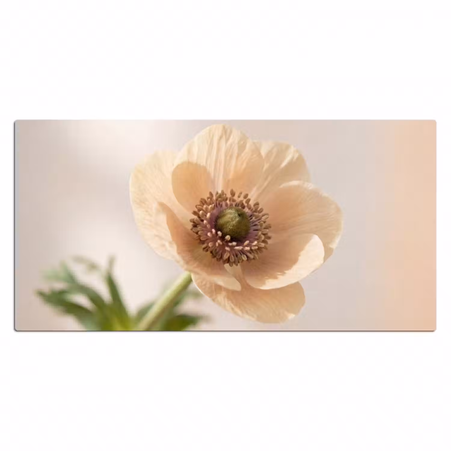 Schreibtischunterlage - Blume - Minimalistisch - Grün