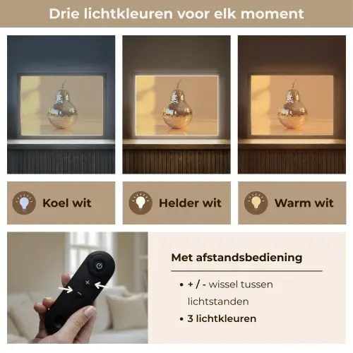 Goud - Disco - Glitter - Peer Light Box met batterij (Wandlamp) middel -USP_lichtkleurNL