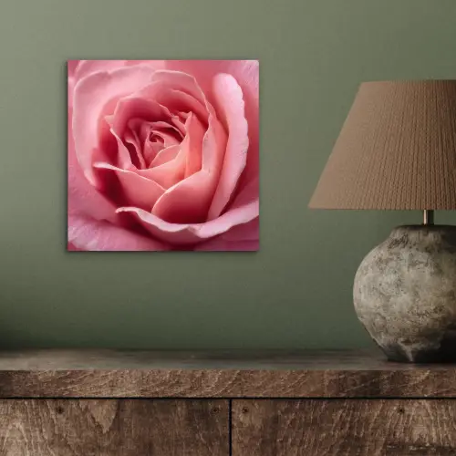 Roze - Roos - Romantisch aluminium wit klein -sfeer2