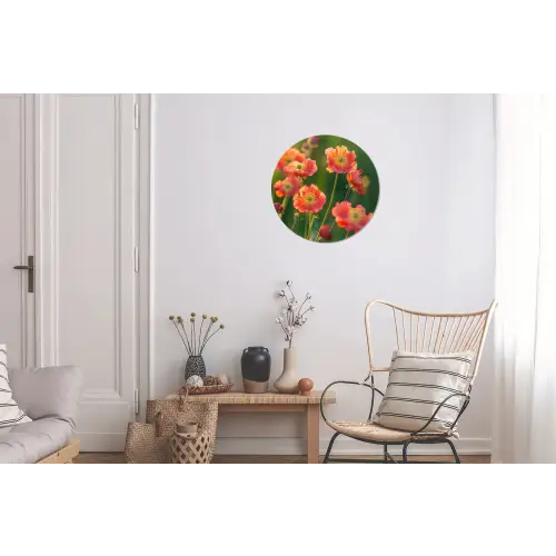 Bloemenveld - Zonnestralen - Oranje Wandcirkel aluminium klein -woonkamer