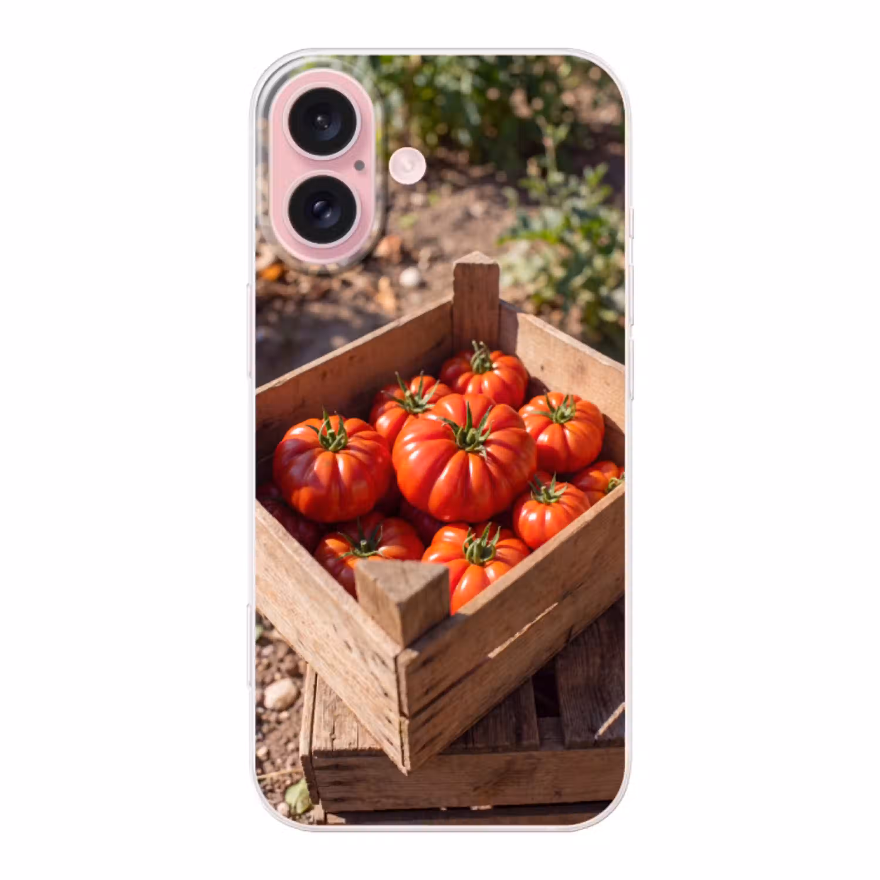 Tomaat - Houten - Kist Apple iPhone 16 klein -3d