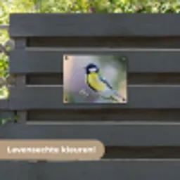 Koolmees op een Tak tuinposter los doek klein -sfeer3