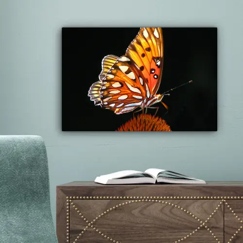 Vlinder - Bloemen - Insect - Portret - Zwart - Oranje canvas 2cm klein -sfeer4