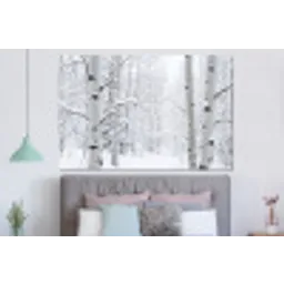 Berkenbomen - Sneeuw - Winter - Bos - Wit forex 5mm xxl -slaapkamer