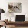 Schaap - Oog - Wit PET vilt klein -sfeer5
