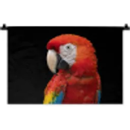 Ara - Portret - Rood Wandkleed katoen klein -zz3d