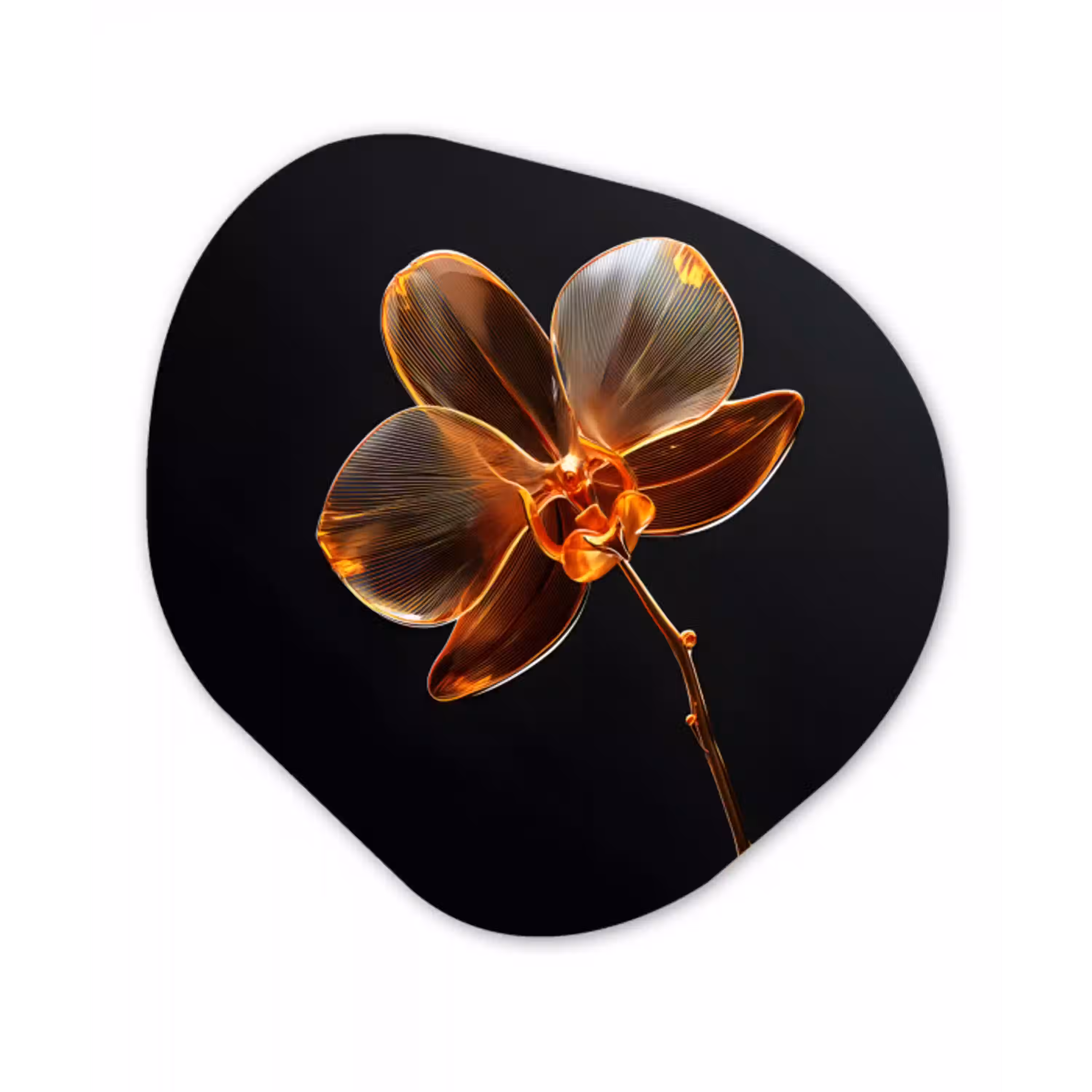 Orchidee - Doorzichtig - Bloem Wandcirkel Organisch Forex 3mm klein -3d