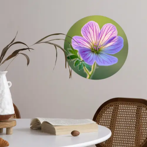 Bloem - Close up - Paars Wandcirkel behangsticker klein -sfeer3