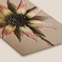 Droogbloem - Protea - Vintage - Beige - Rustiek fotolijst zwart zonder passe partout klein -zsfeer6