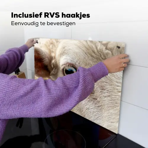 Schaap - Oog - Wit Inductie beschemer met haakjes klein -ky-ophangen-nl