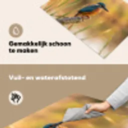IJsvogel - Tak - Water - Kleurrijk - Levendig Inductie beschemer met haakjes klein -ky-schoon-nl