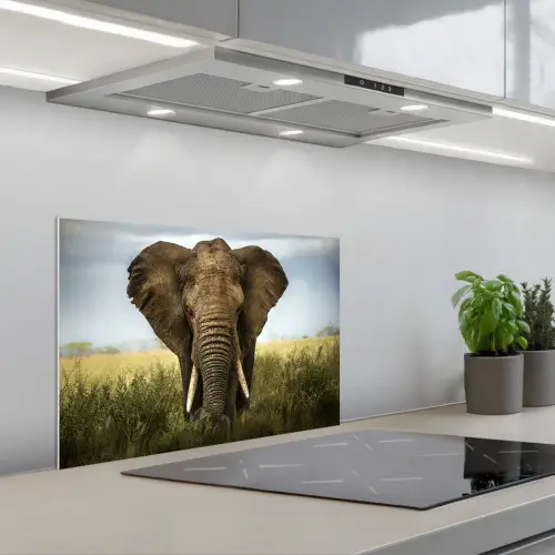 Olifant - Natuur - Gras - Dieren - Landschap keuken achterwand spatscherm klein -3d_schuin