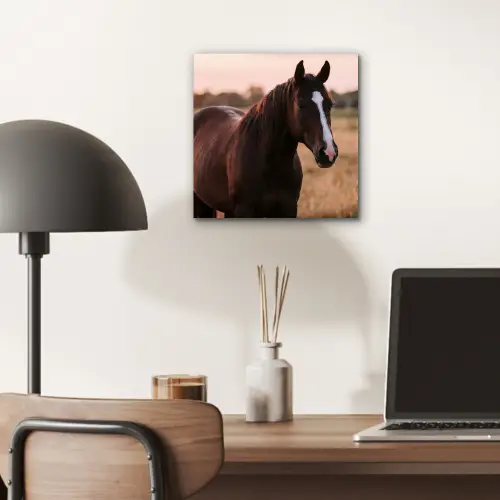 Paard - Zonsondergang - Bruin aluminium wit klein -sfeer5