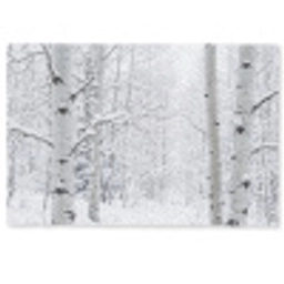 Berkenbomen - Sneeuw - Winter - Bos - Wit Deurmat klein -zkaufland3d