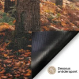 Bospad - Herfstbos - Bladeren - Oranje - Nostalgisch Deurmat klein -antislip_FR