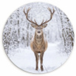 Hert - Winter - Bos - Natuur - Wit Wandcirkel kunststof plaat 5mm dik klein -3d