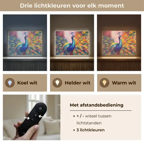 Pauw - Dieren - Schilderij - Regenboog Light Box met batterij (Wandlamp) middel -USP_lichtkleurNL