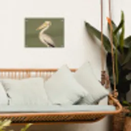 Pelikaan - Wit - Vogel - Klassiek - Natuur tuinposter los doek klein -sfeer7