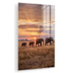 Olifanten - Savanne - Zonsondergang - Afrika - Warm plexiglas 5mm klein -zzzproduct_nieuw