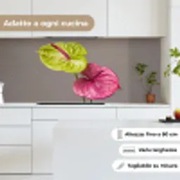 Planten - Anthurium - Groen - Roze keuken achterwand 2 middel -sfeer4_IT