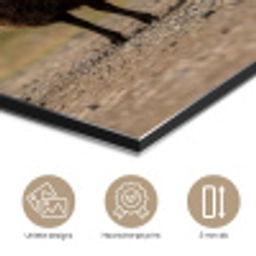 Schapen - Bruin - Wit - Grindpad aluminium wit klein -closeup_NL