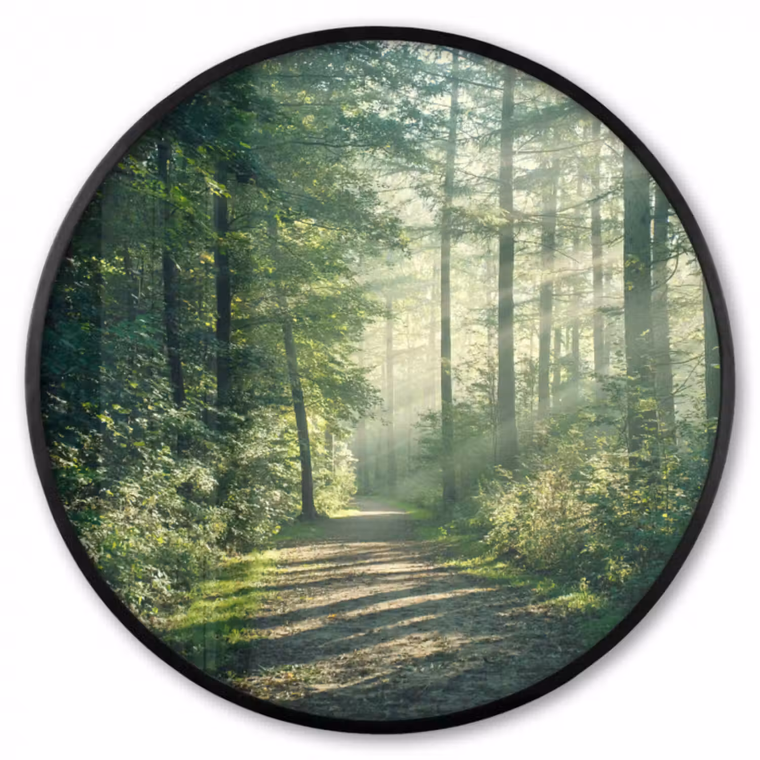 Poster im Rahmen Rund - Wald - Weg - Sonne - Bäume - Grün - Natur