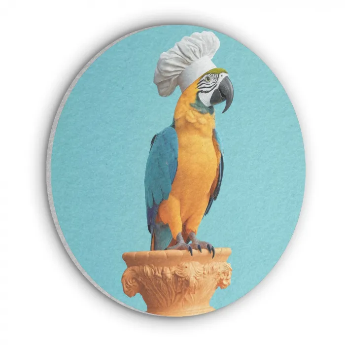 Papegaai - Koksmuts - Grappig - Vogel Akoestische PET Vilt - Rond klein -3d