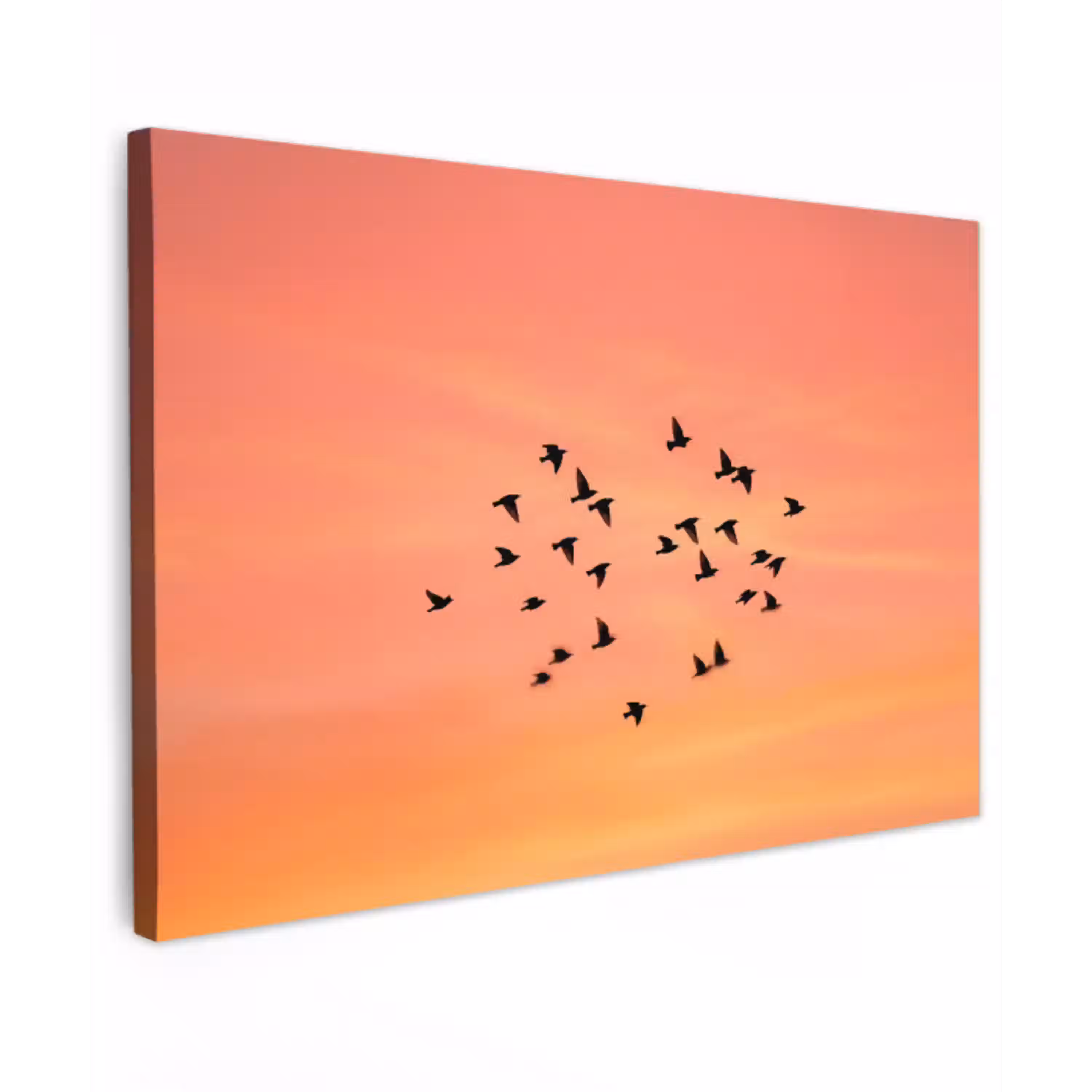Zwerm - Vogels - Oranje canvas 2cm klein -z3d