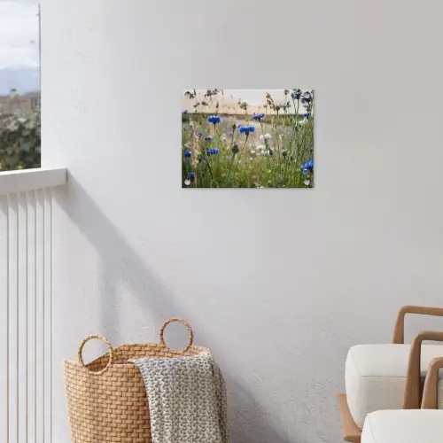Bloemen - Zomer - Korenbloem - Blauw - Zon - Wolken tuinposter los doek klein -sfeer8