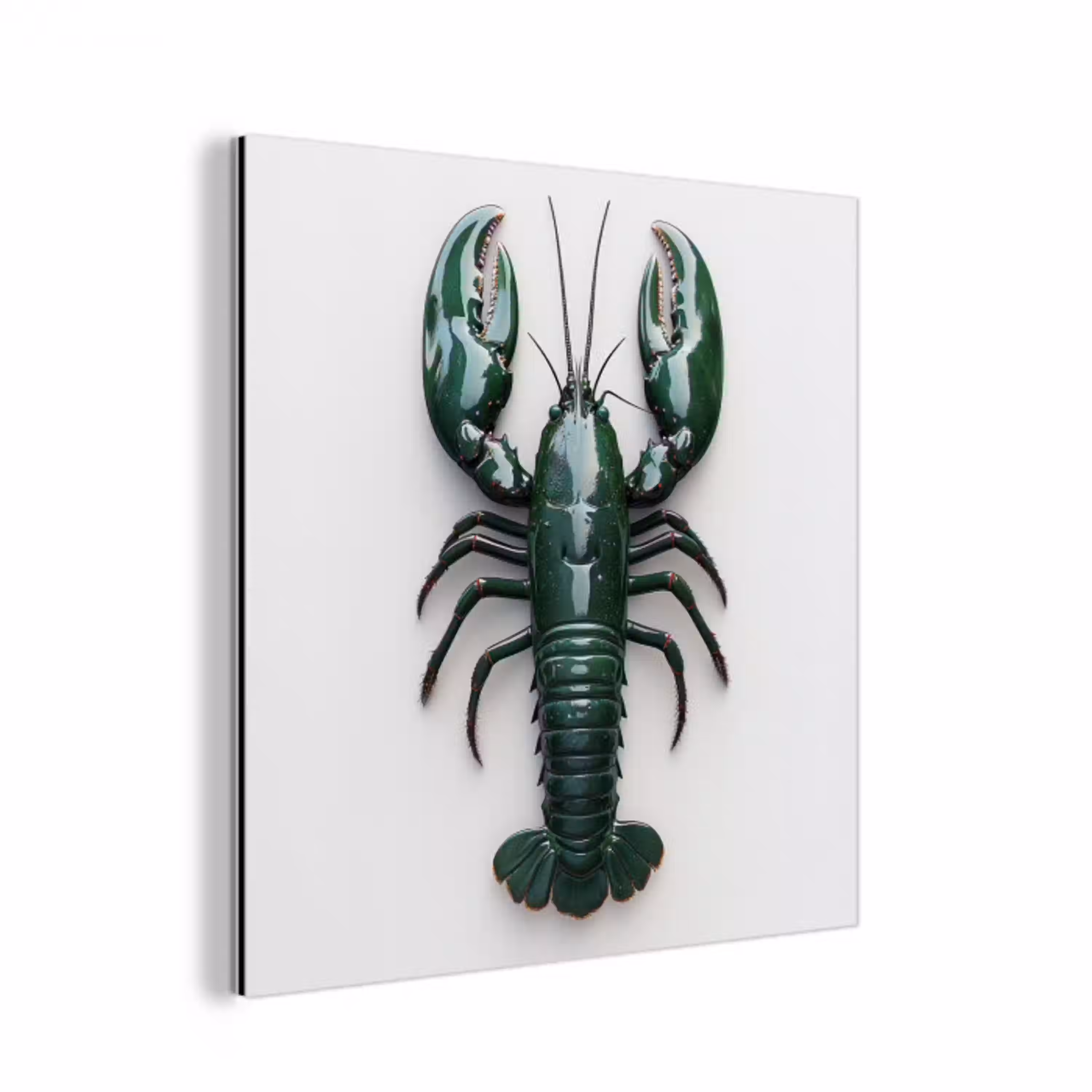Kreeft - Glossier - Groen - Wit aluminium wit klein -3d